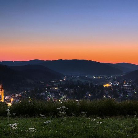 Drei Tannen - Wohnung 11 - Apartmenthaus, Titisee, Feldberg Buitenkant foto