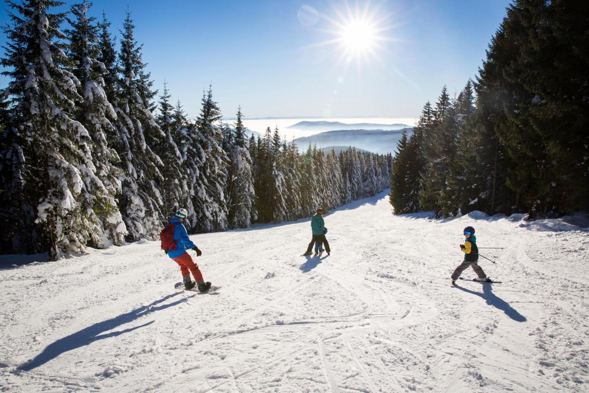 Drei Tannen - Wohnung 11 - Apartmenthaus, Titisee, Feldberg Buitenkant foto