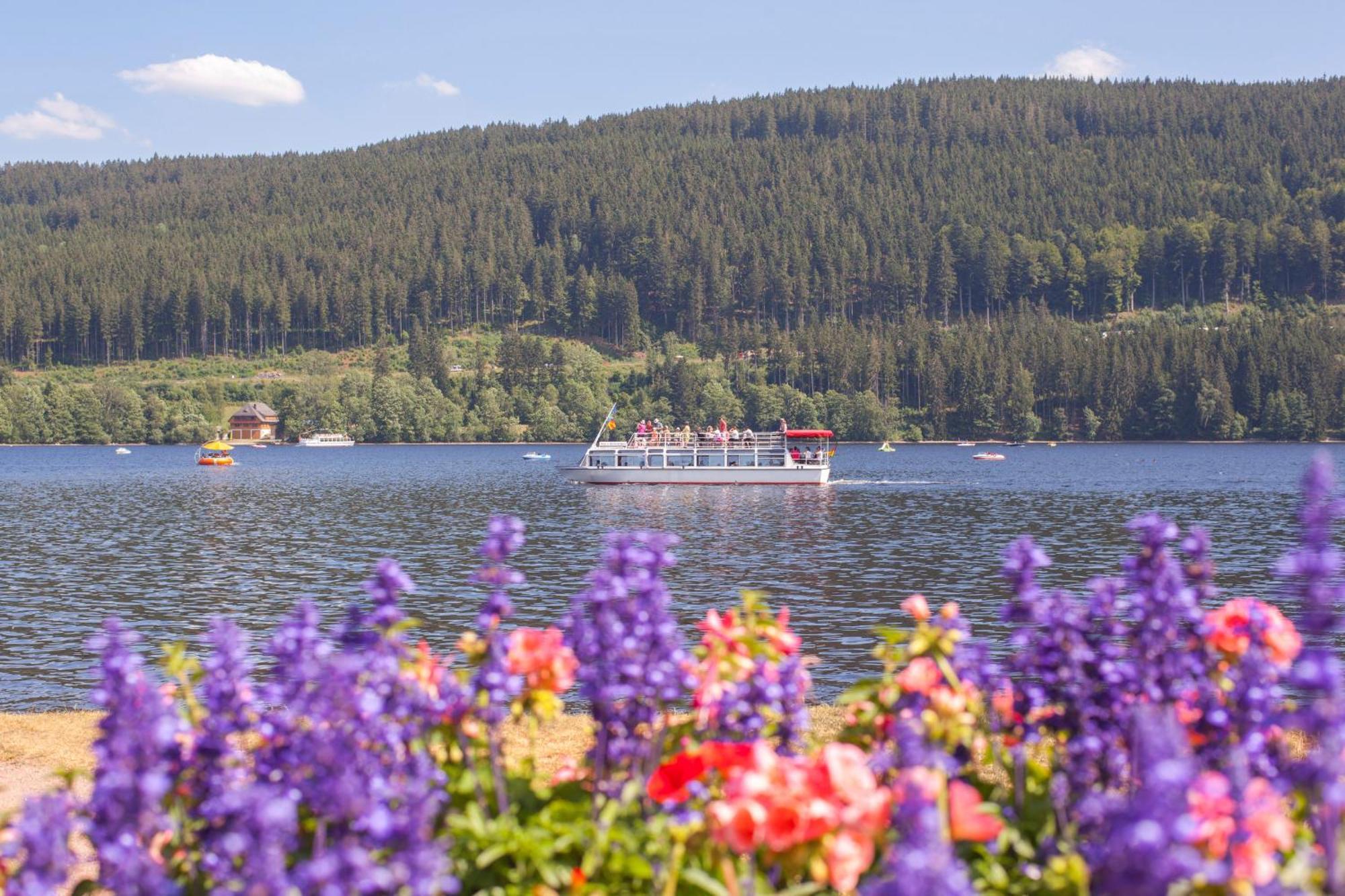 Drei Tannen - Wohnung 11 - Apartmenthaus, Titisee, Feldberg Buitenkant foto