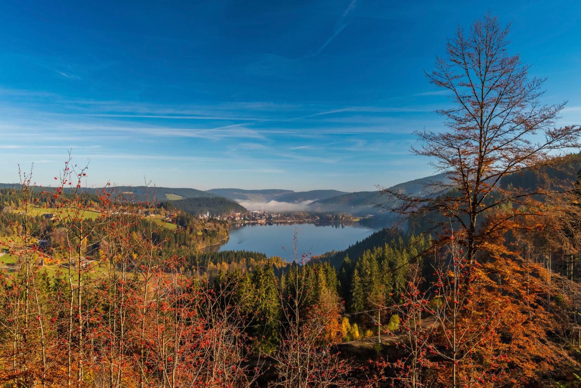 Drei Tannen - Wohnung 11 - Apartmenthaus, Titisee, Feldberg Buitenkant foto