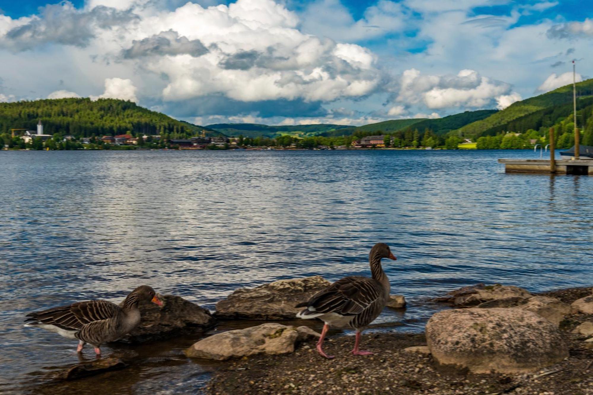 Drei Tannen - Wohnung 11 - Apartmenthaus, Titisee, Feldberg Buitenkant foto
